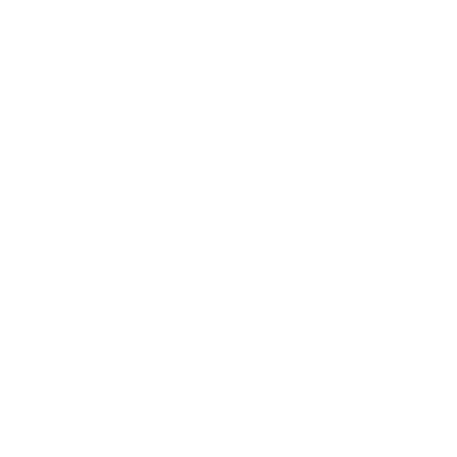 r studio white logo