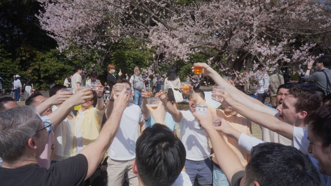 Group of people raising drinks in toast under cherry blossoms.